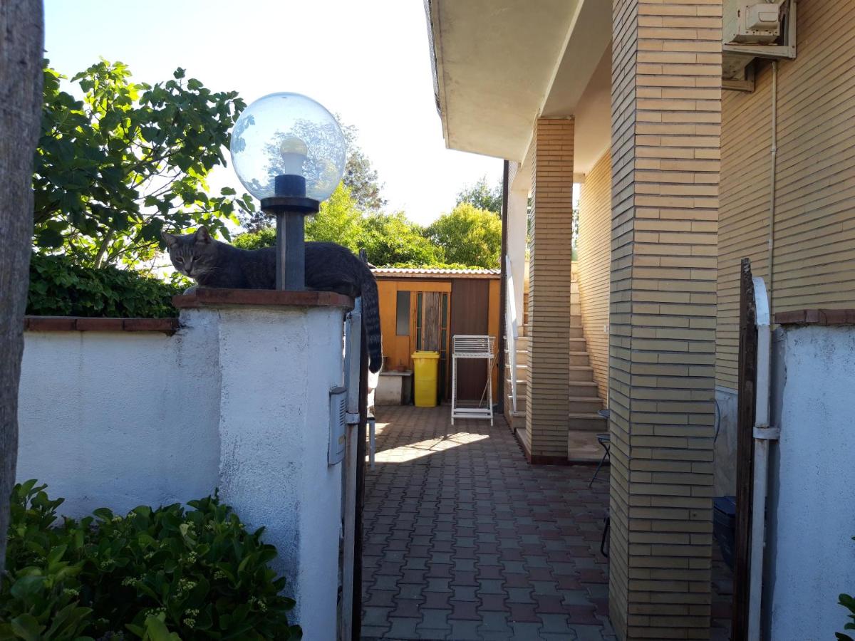 Le Bagnanti Di Miro' - B&B Terracina