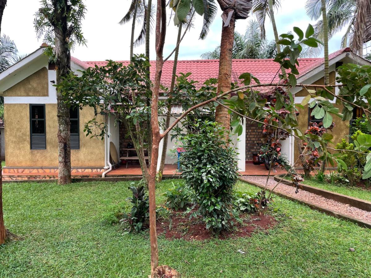 Entebbe gardens holiday home - B&B Entebbe
