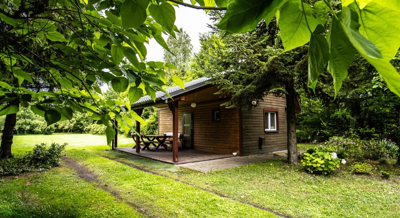 Siedlisko Basiówka - B&B
