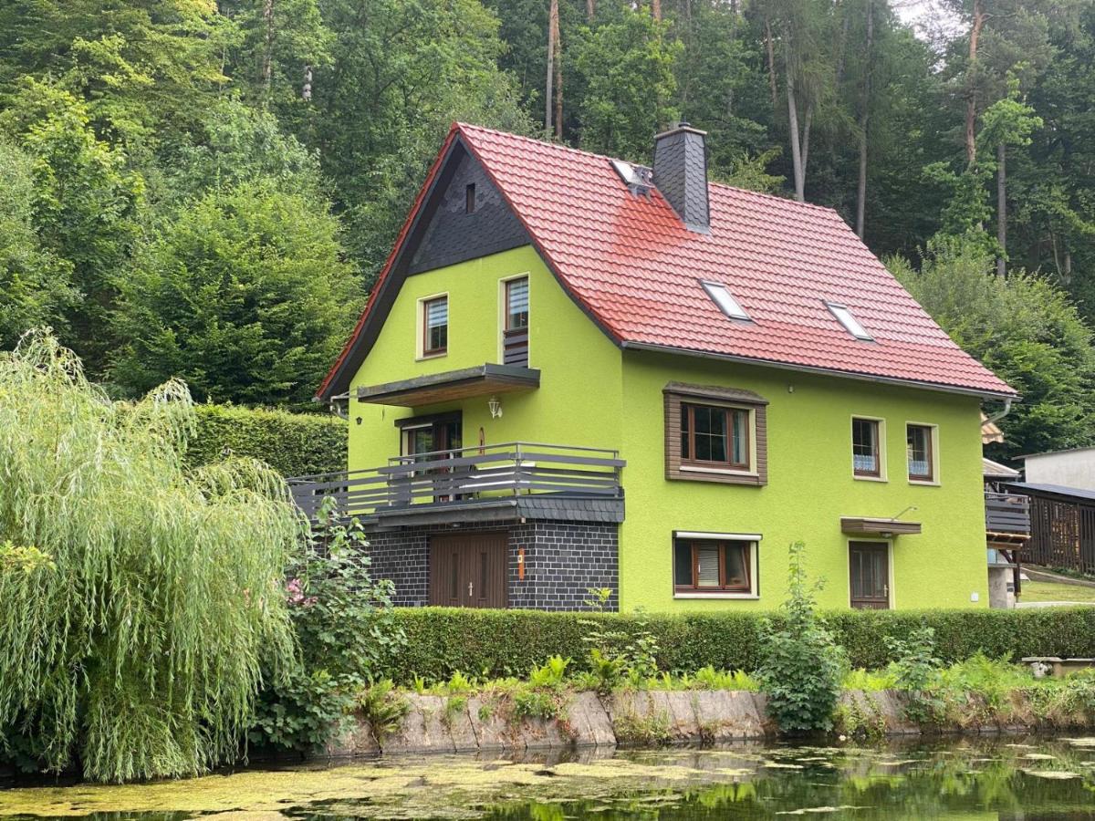 Ferienhaus am Röhrensteig - B&B Bad Gottleuba