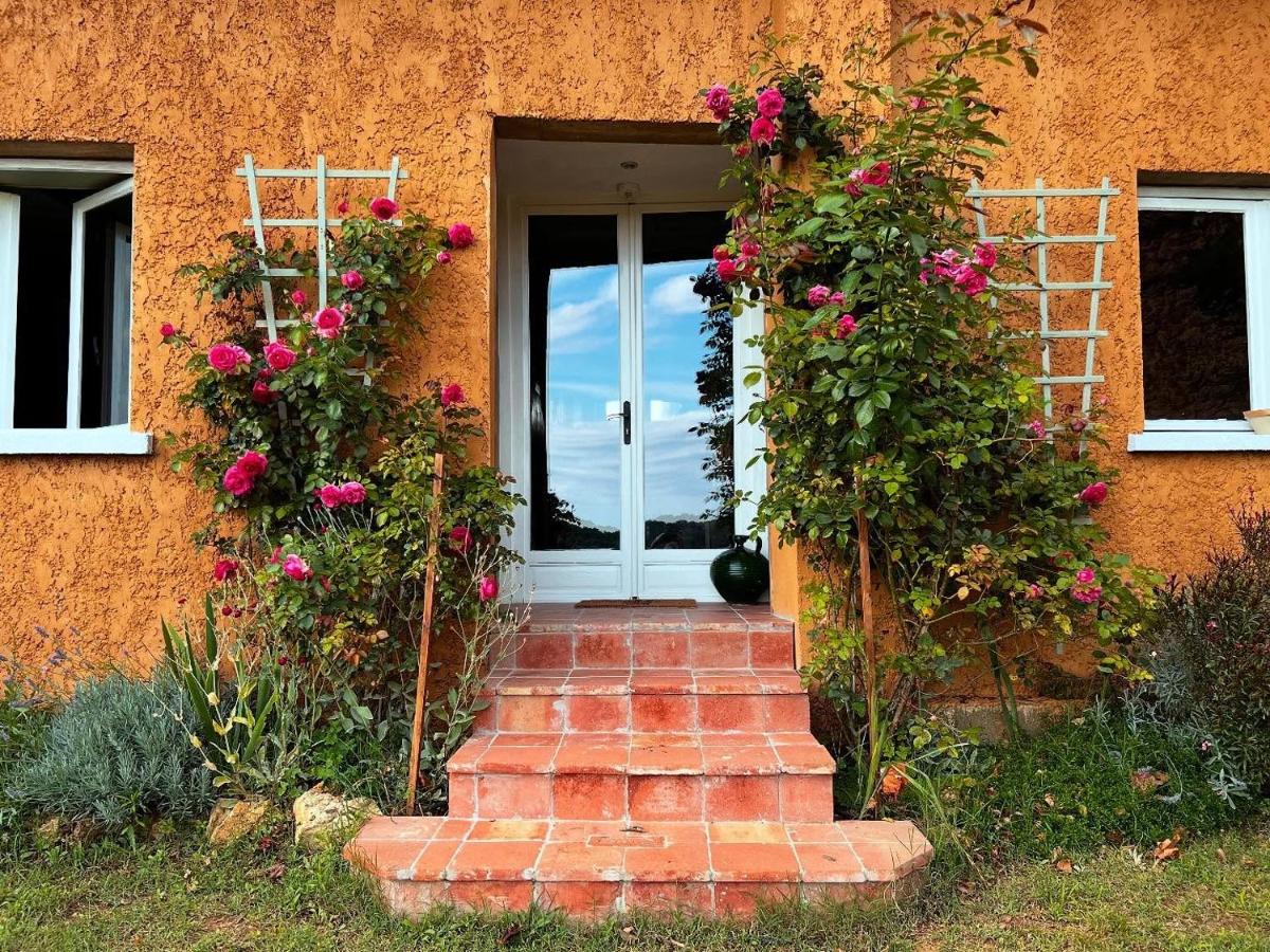Le Petit Basket - B&B