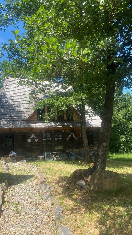 Poiana Creasta Cocoșului-Casa Floarea Soarelui - B&B Breb