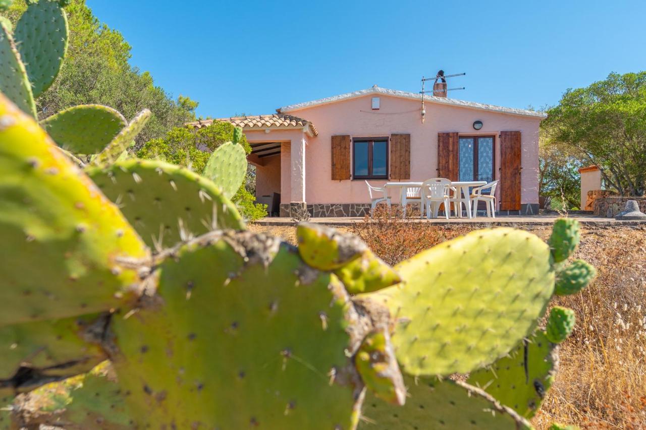 casa istana - B&B Murta Maria