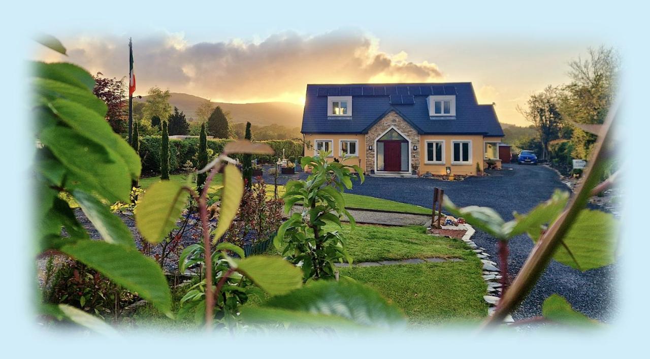 Mon Petit Cottage - B&B and House in Bunclody - B&B