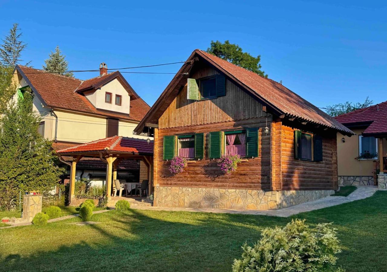 Brvnara LARA Banja Vrujci - B&B