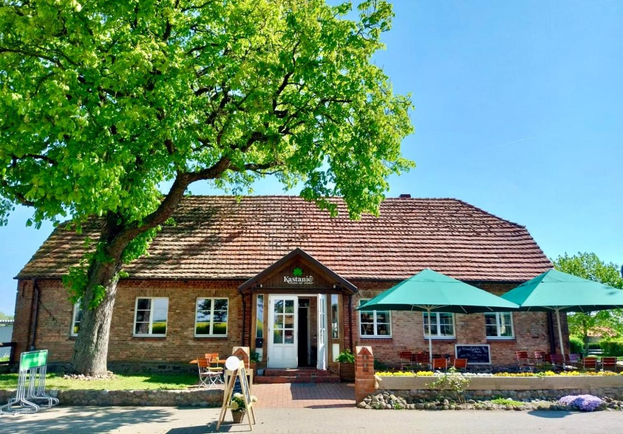 Apartment in Moltzow- viel Platz in ländlicher Lage - B&B