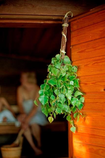 Gedvilų sodyba - B&B