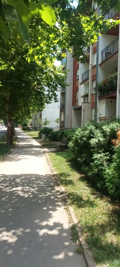 Apartman Lavanda - B&B Vrdnik