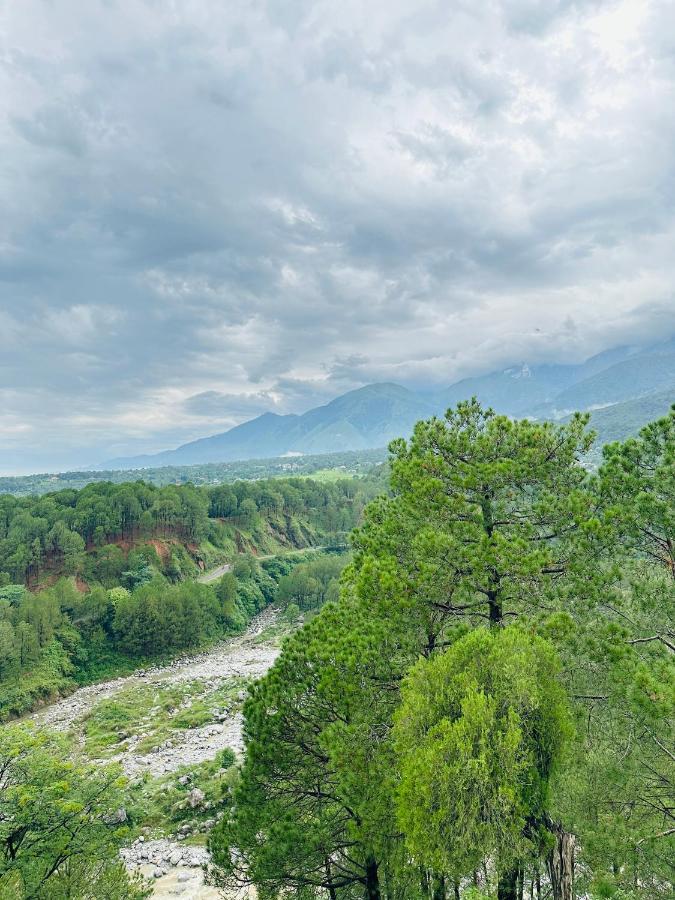 The Ananta Palampur - B&B