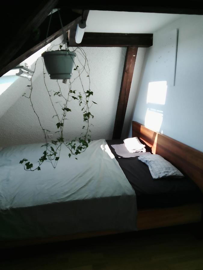 Bequemes, ruhiges Zimmer mit Doppelbett in der Nähe des Zentrums und des Bahnhofs - B&B Binningen
