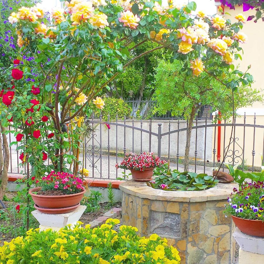 B&b il Giardino da Pina - B&B