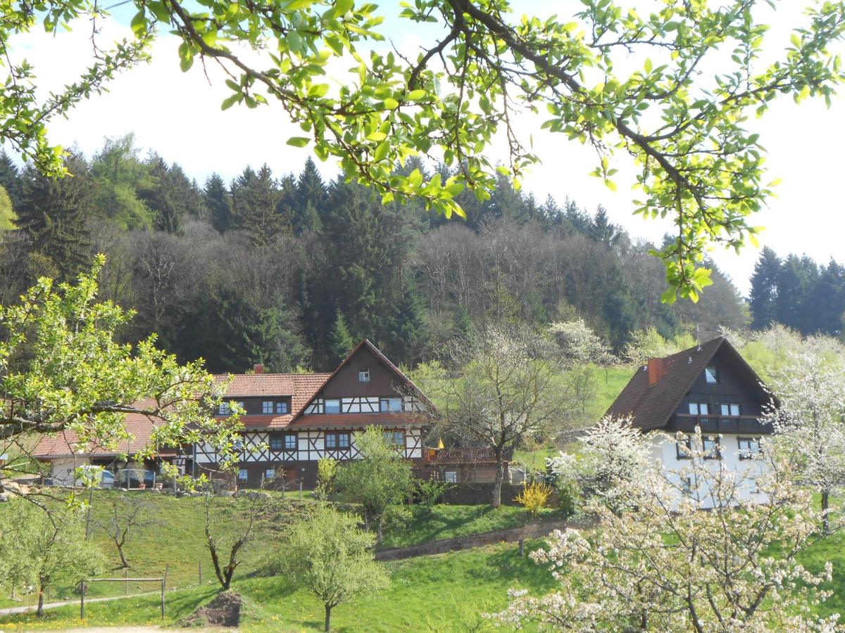 Ferienhof Fischer - B&B Seebach