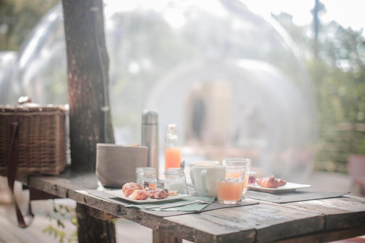Les Bulles De Bordeaux - B&B
