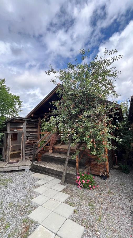 Csató Panzió - Pensiunea Csató - B&B Joseni