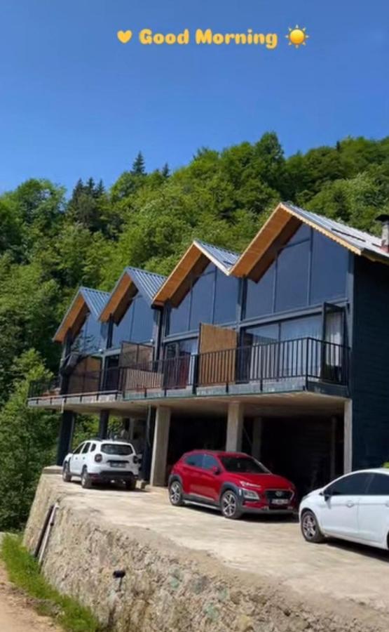 MihTal Dağevleri - Bed and Breakfast Çamlıhemşin