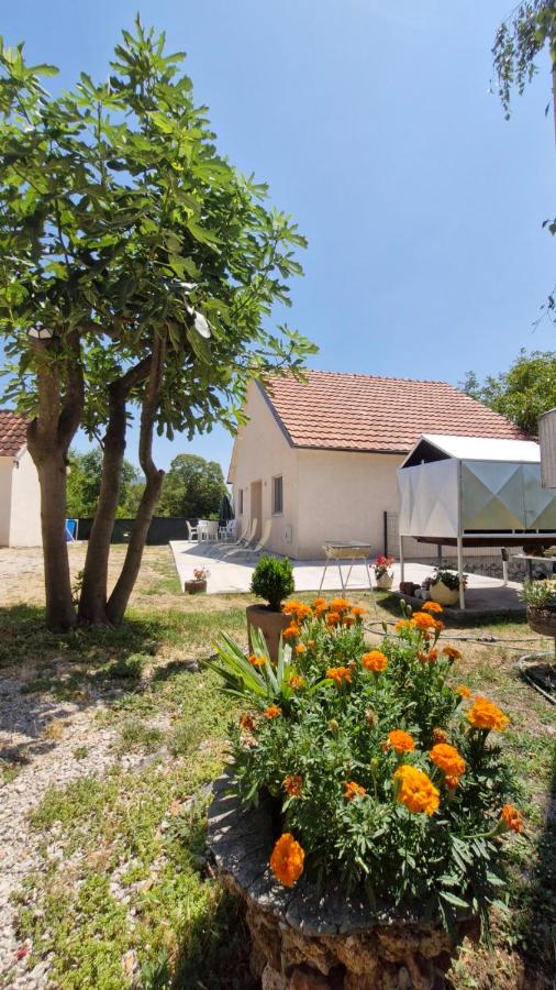 Nuko's family - B&B Nikšić