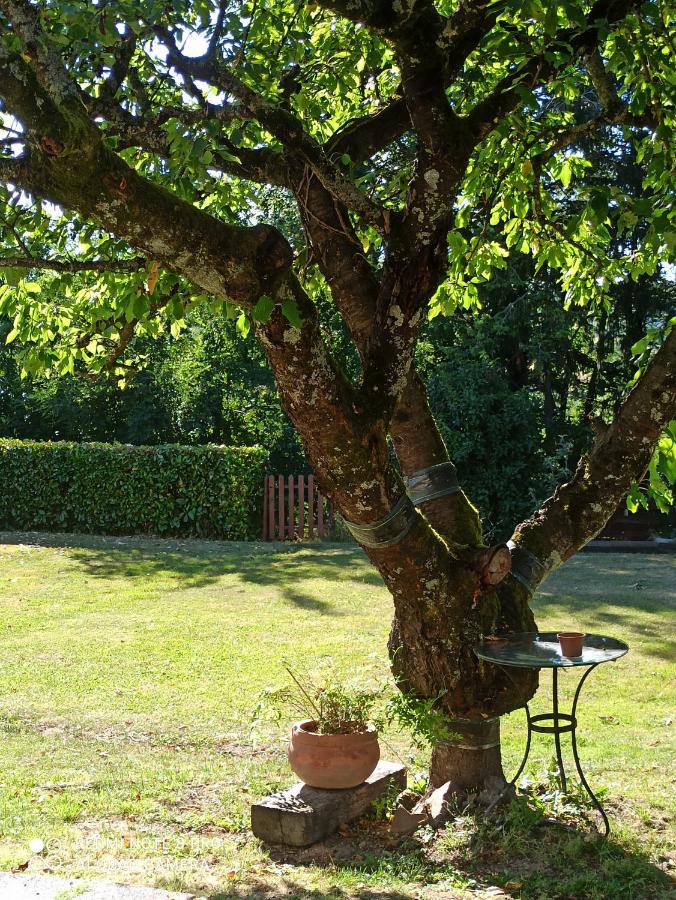 Maison en pleine nature entre Roanne et Charlieu - B&B