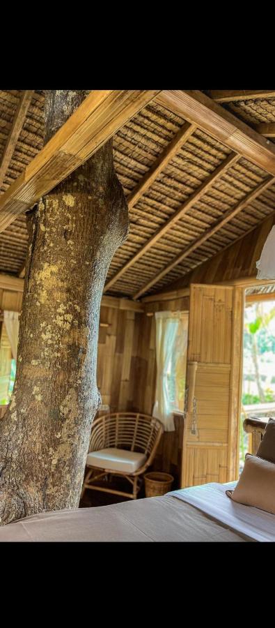 Tree bamboo house - B&B Tampaksiring