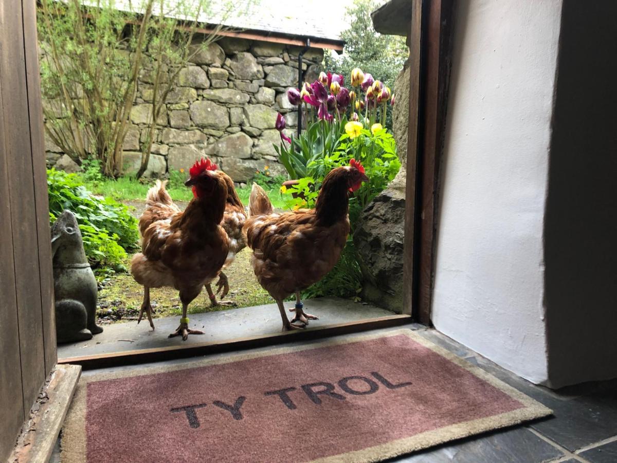 Ty Trol - B&B Dolgellau