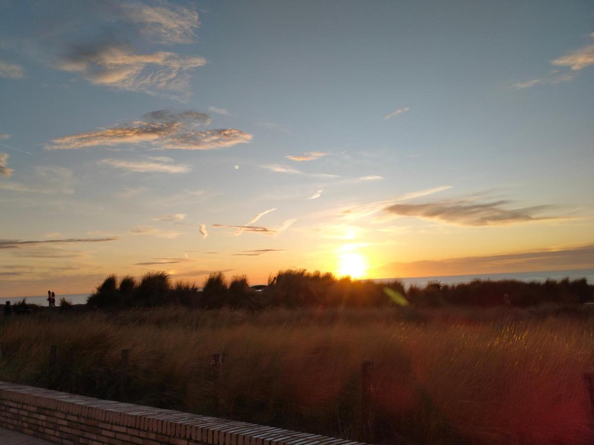Maxent aan zee - B&B