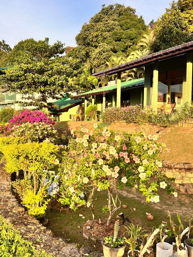 Ambiente Guest House - B&B