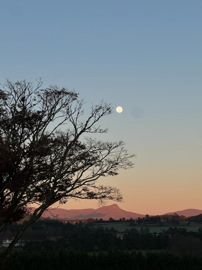 Romantic Wine Estate Stay in The Midlands - B&B