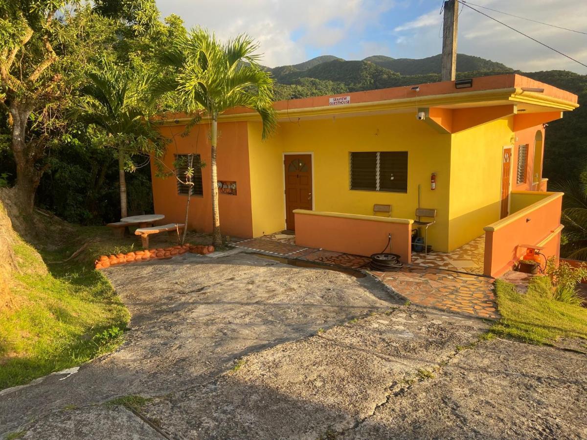 Seaview Guesthouse Apt #2 - B&B