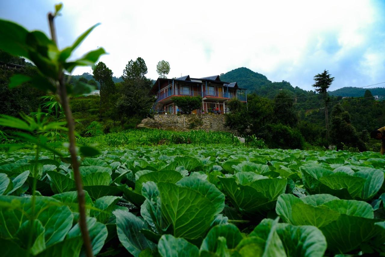 Saanidhya Homestay - B&B