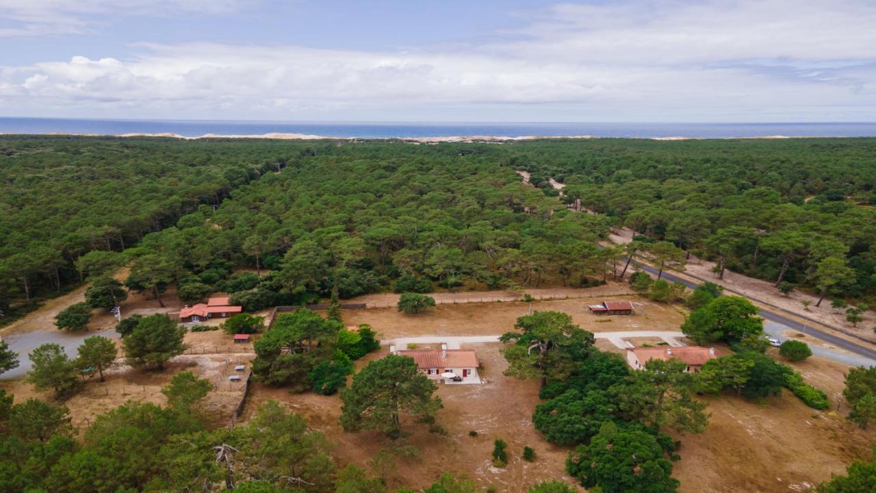 Domaine du Flamand - Gîtes du Pin Sec côté OCEAN - B&B