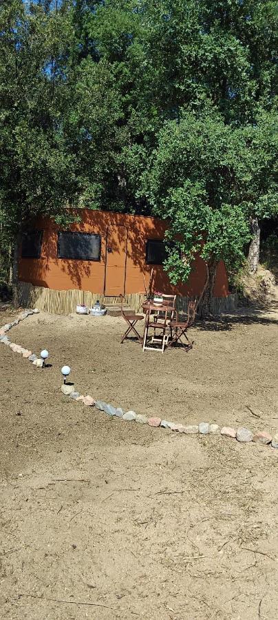 Cabaña en el montseny - Ferienwohnung Arbúcies