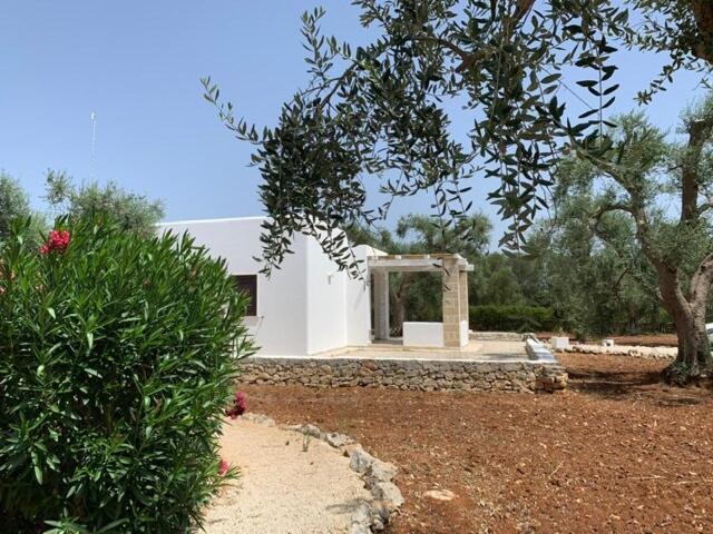 La Corte dei Trulli - Bed and Breakfast San Michele Salentino