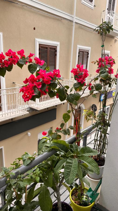 Home Sicilia - B&B Sant'Agata di Militello