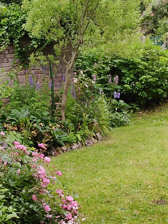 Les agapanthes - B&B