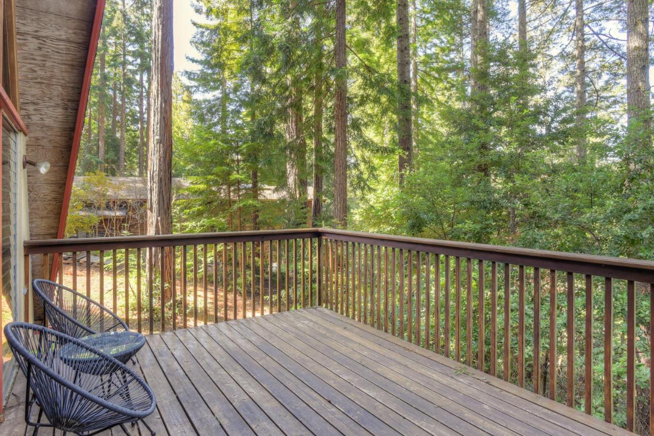 Star Nest - Secluded Forest Property - B&B Gualala