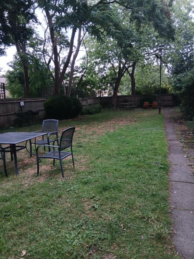 Cozy stay with garden view - B&B Londra