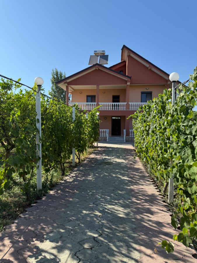 Villa Gega - B&B Kamëz