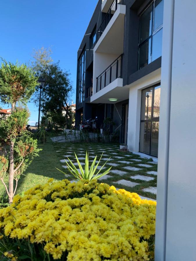 Azulik 2 - B&B Chernomorets