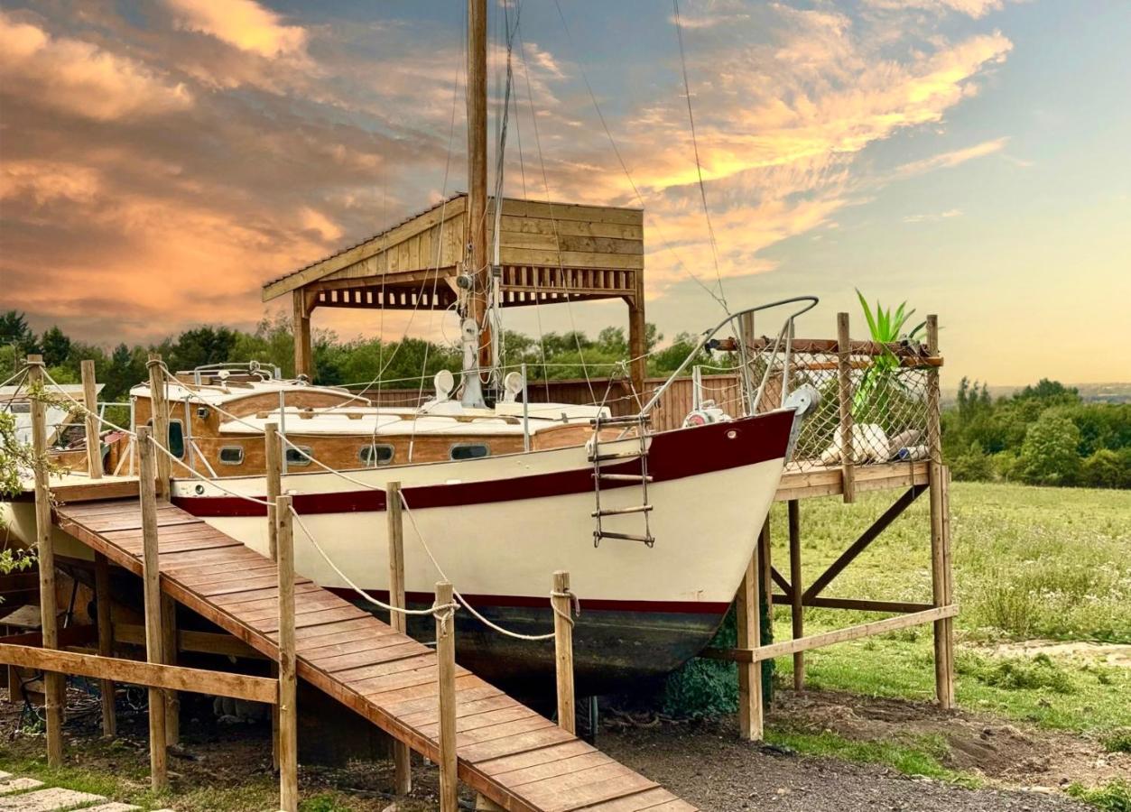 Asila's Ark - B&B Keyworth