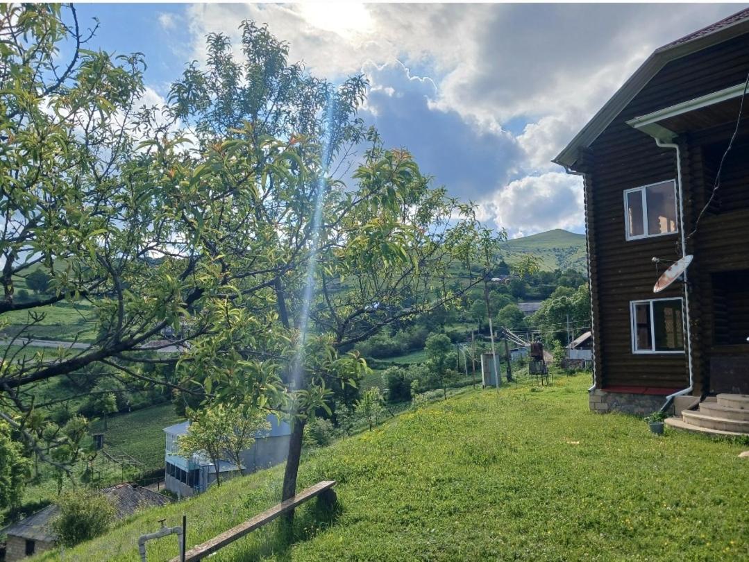 Qafqaz lyuks Villa - B&B