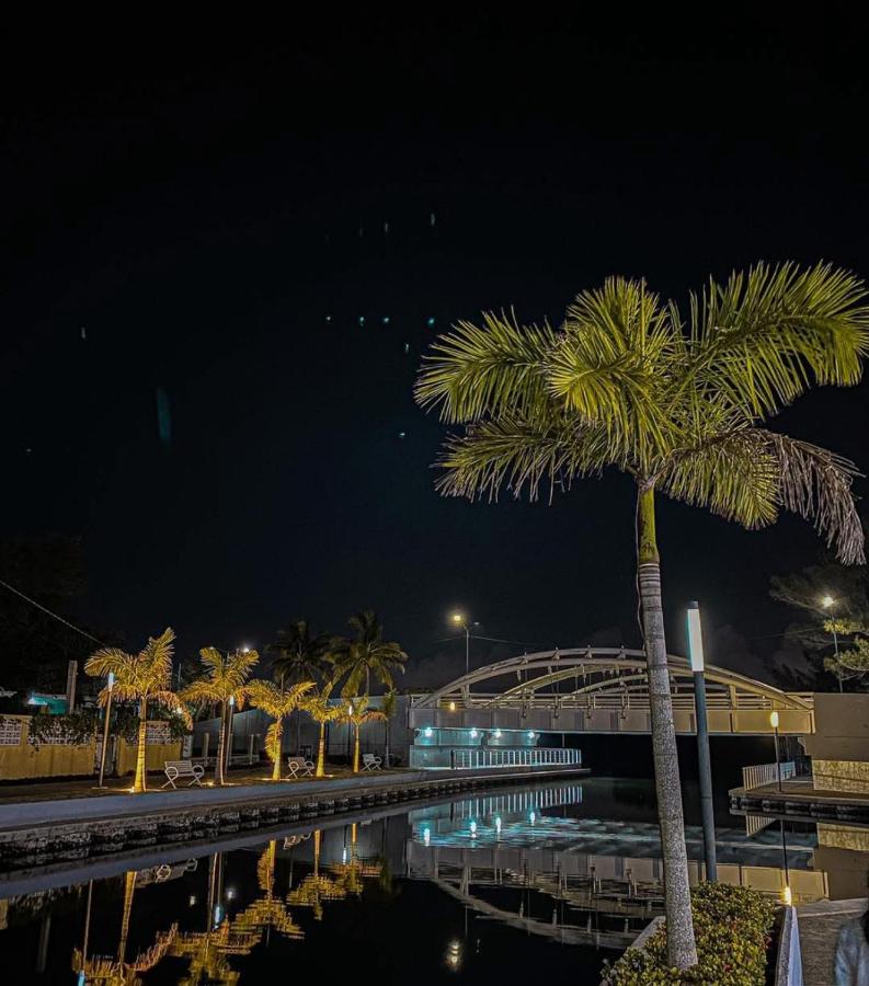 Don Quijote de Tampico - B&B Tampico