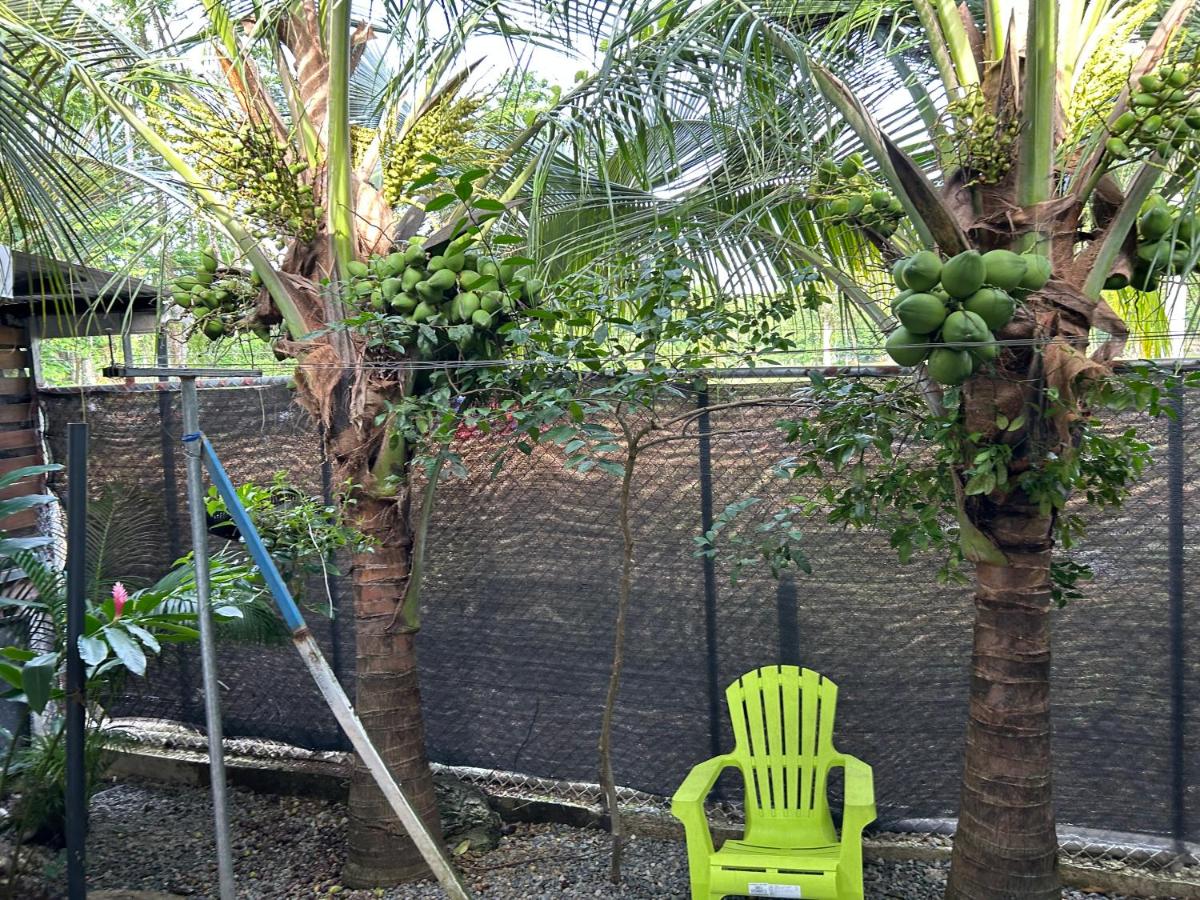 Casa Teo número 2 - B&B Puerto Viejo