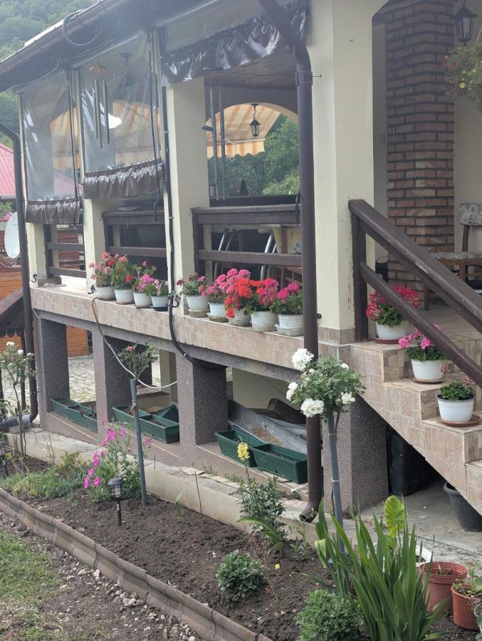 Vila lui Simion - B&B