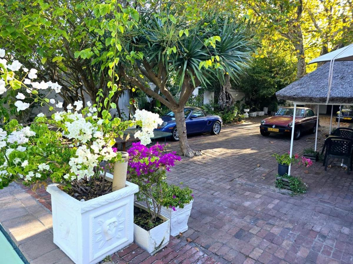 Meyerhof - B&B Cape Town