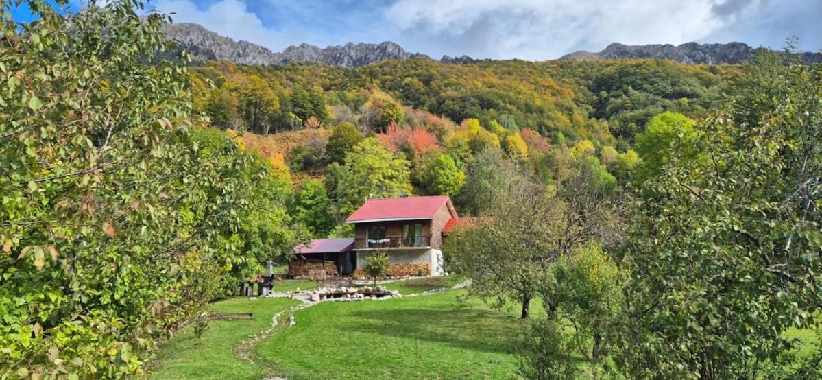 Fireside Lodge - B&B