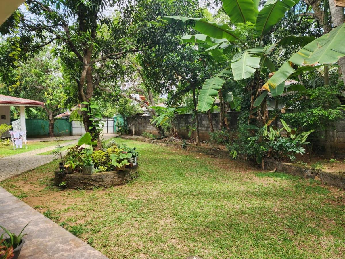 Tiny Villa Homestay - Only For Foreign Bookings - B&B