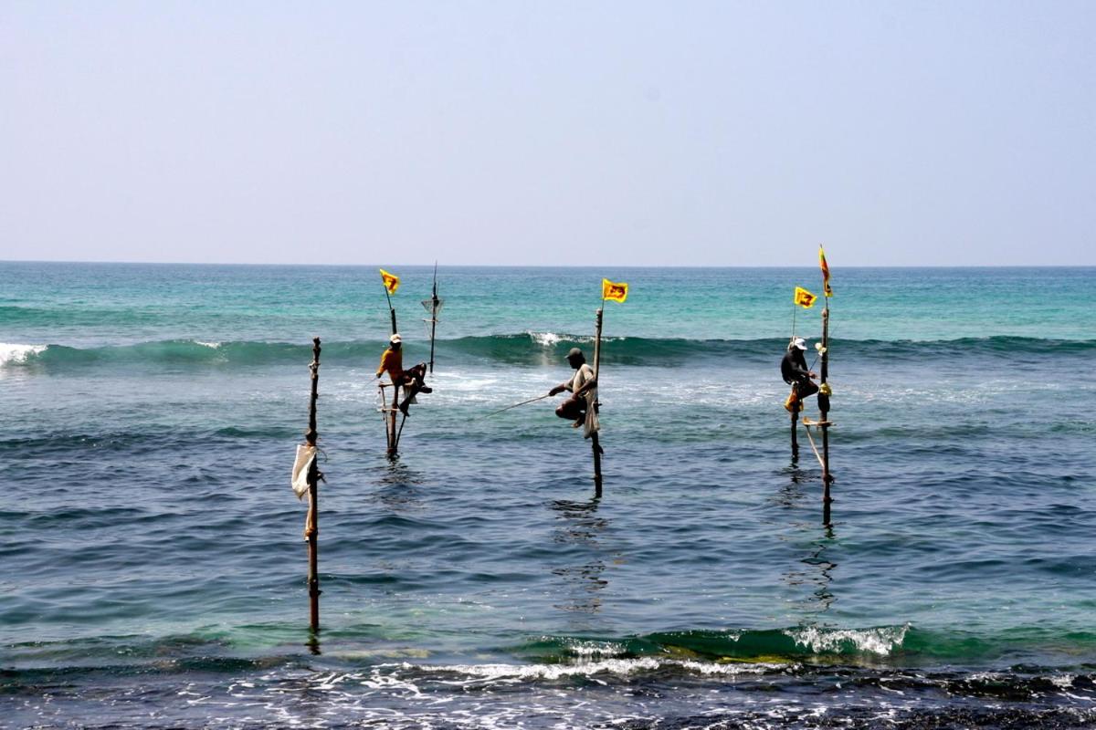 LotusScape Ahangama - B&B Ahangama