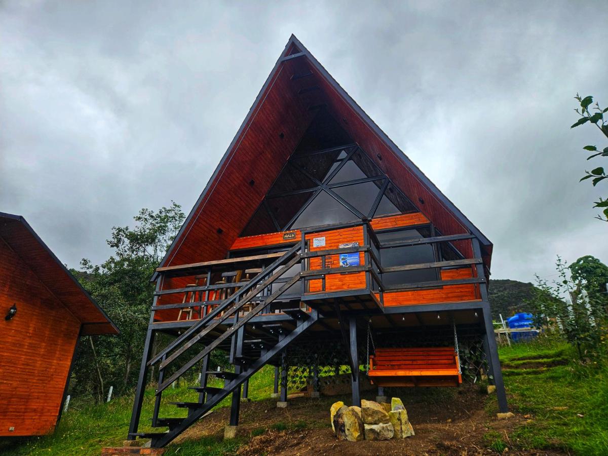 Glamping Hakuna Matata - B&B