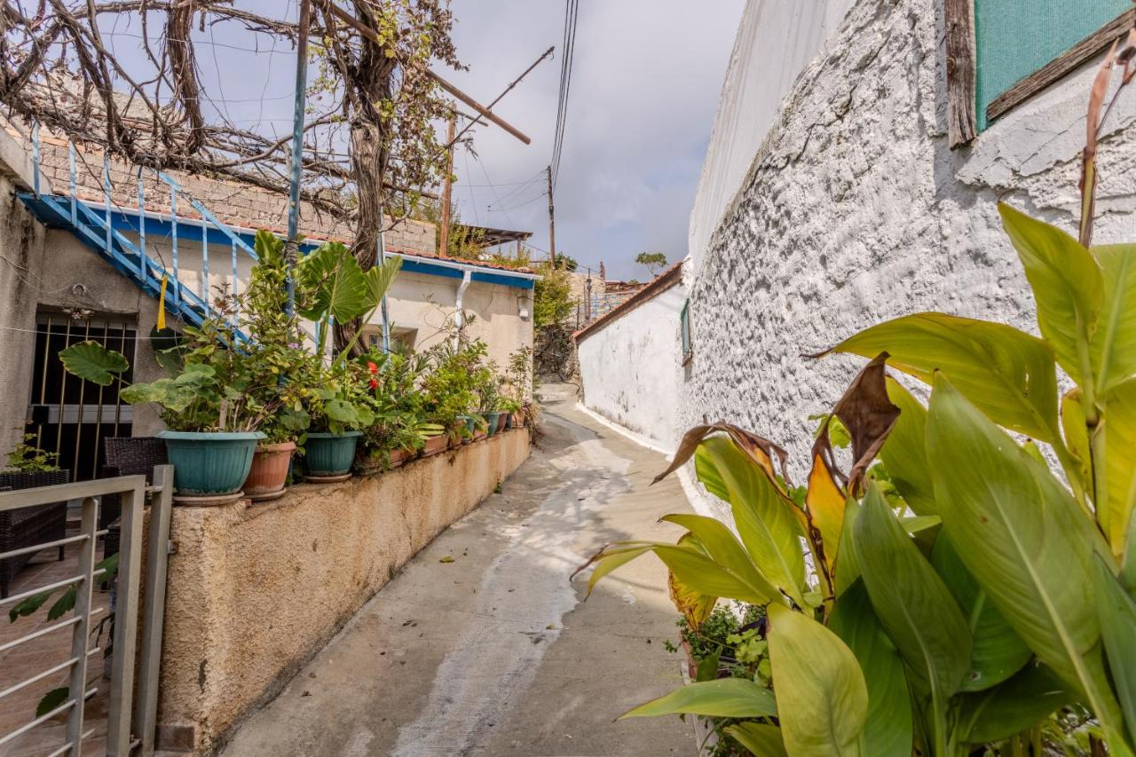 'I Folia' Village house with roof garden and terrace - Chambres d'hôtes Pissoúri