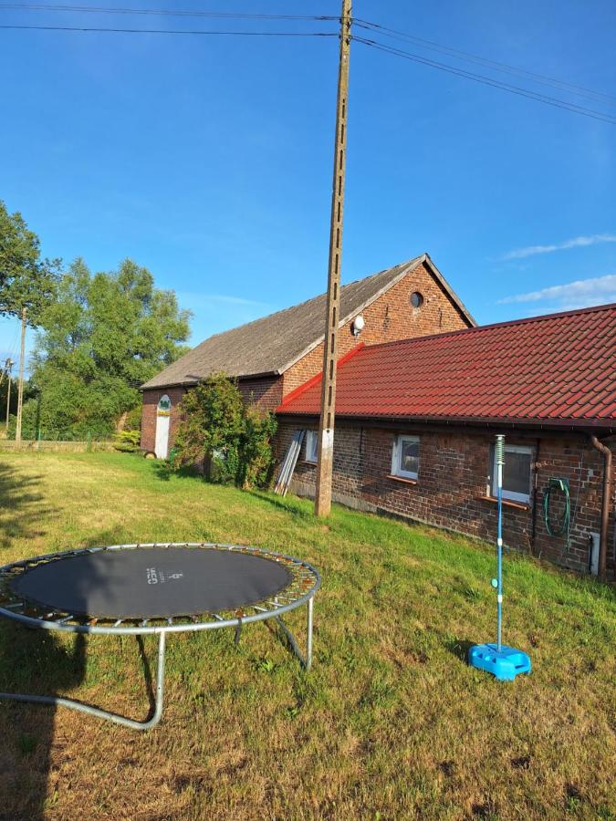 Standard Triple Studio