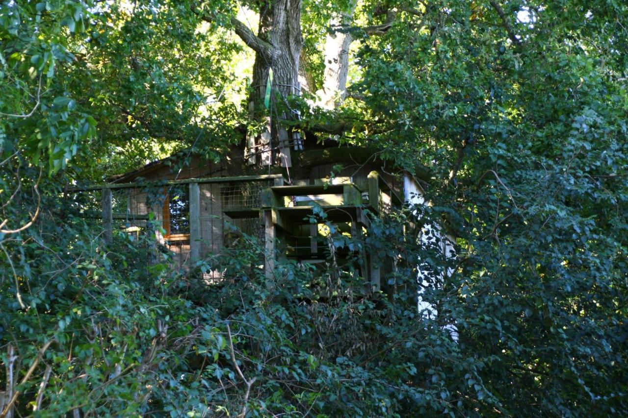 Cabane dans les arbres - Chambres d’hôtes Hénanbihen